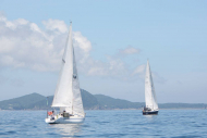 51peral_0332