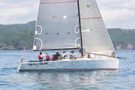 51peral_0334