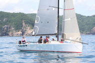 51peral_0335