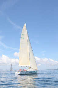 51peral_0337