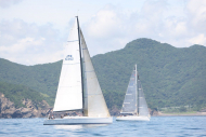 51peral_0346