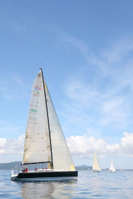 51peral_0352