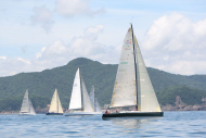 51peral_0353