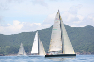 51peral_0354