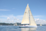 51peral_0356