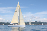 51peral_0357