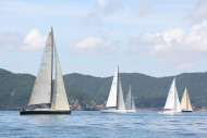 51peral_0358