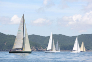 51peral_0359