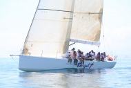 51peral_0360