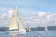 51peral_0363