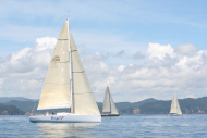 51peral_0364