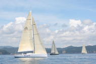 51peral_0365