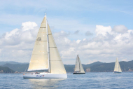 51peral_0366