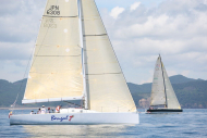 51peral_0367
