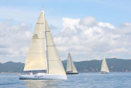 51peral_0368