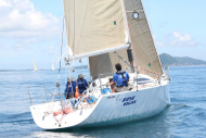 51peral_0374