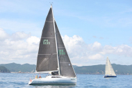 51peral_0375