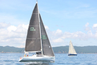 51peral_0376