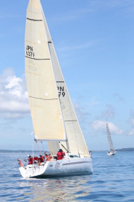 51peral_0384