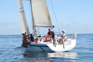 51peral_0386