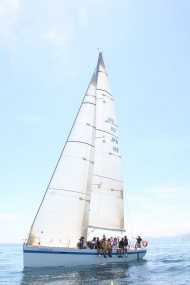 51peral_0395