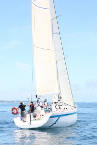 51peral_0397
