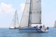 51peral_0410