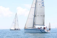 51peral_0411