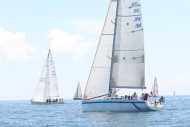 51peral_0412