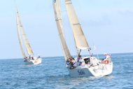 51peral_0413