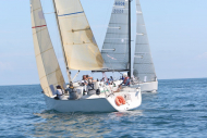 51peral_0419