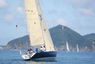 51peral_0423