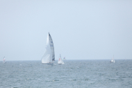 IMG_2790