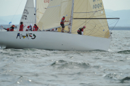 CA3_1664