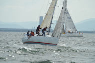 CA3_1686