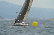 CA3_1767