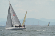 CA3_1781