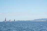 DSC08166_s