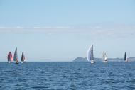 DSC08168_s