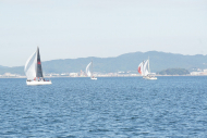 DSC08174_s