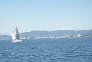 DSC08178_s