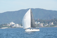 DSC08204_s