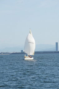 DSC08226_s