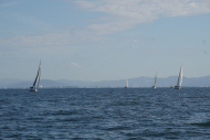 DSC08311_s