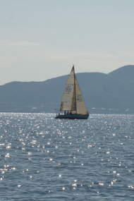 DSC08333_s