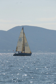 DSC08334_s