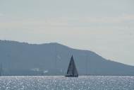 DSC08345_s