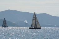 DSC08357_s