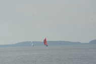 DSC08396_s