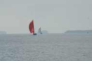 DSC08398_s